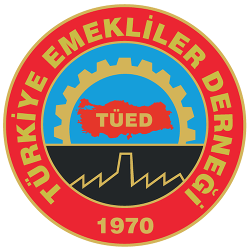 Atlı Karınca 6
